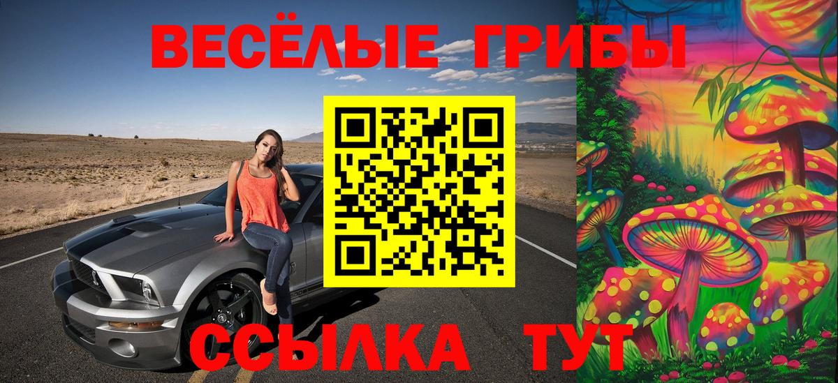 сколько стоит  Псилоцибиновые грибы мухоморы  Вход с VPN  Псилоцибиновые грибы GOLDEN TEACHER  Лесной 